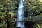 Fiordland092_edited-1.jpg